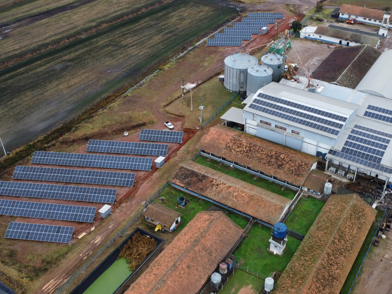 Projeto agronegócio Guarapuava